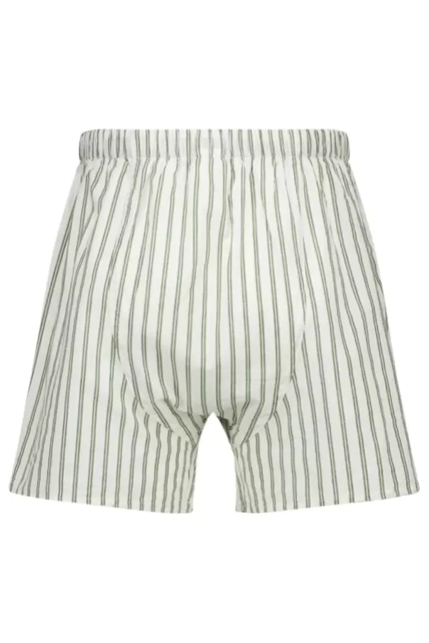 Sous Vetements & Lounge<America Today Boxershort Thomas White/green | Olive