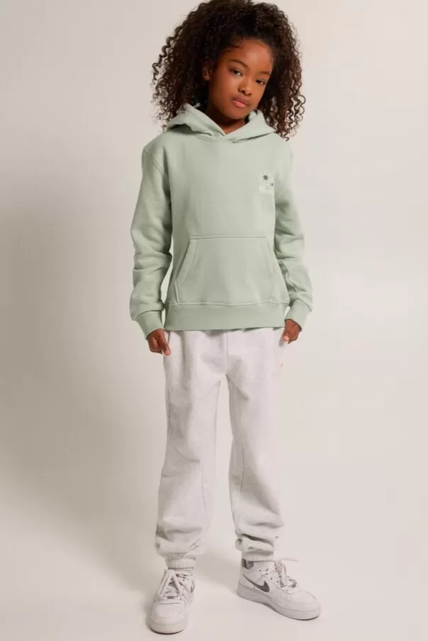 Pantalons | Pantalons de jogging<America Today Pantalon de jogging Caia jr Lightgreymelange | Softgreen