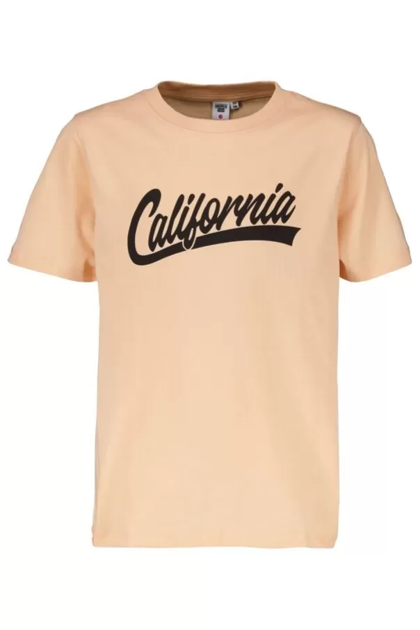 T-shirts & Polo's<America Today T-shirt Ede jr Dullblack | Offwhite | Peach