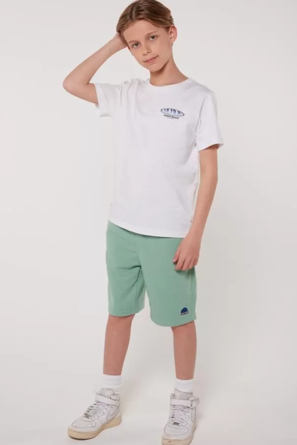 T-shirts & Polo's<America Today T-shirt Ewan Jr TrueBlue | Lightgreen | Offwhite